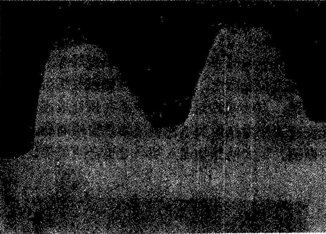  �S�C����