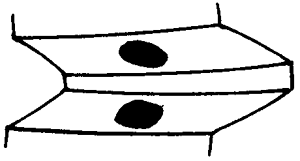 �F�X݆�͜�(zh��n)�p�����X݆�g(sh��)�Z�ӹ�������݆�X���|���z���ԇ�