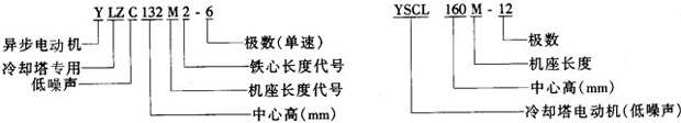 YSCLYLZCϵsõஐ늄әC(j)Y(ji)(gu)鼰c(din)